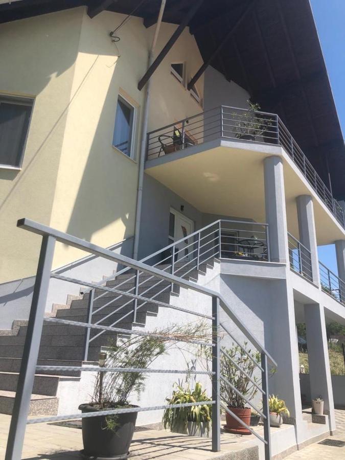 Casa Alessias Hotel Vişeu de Sus Exterior foto